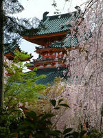 s-DSCN5269.jpg
