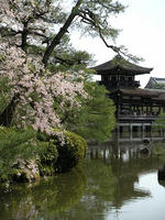 s-DSCN5306.jpg