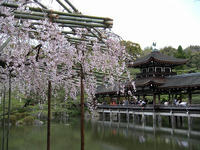 s-DSCN5313.jpg