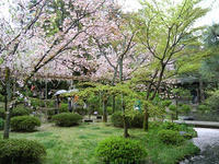 s-DSCN5361.jpg