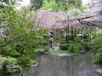 s-DSCN5362.jpg