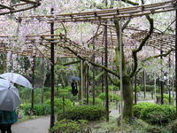 s-DSCN5363.jpg