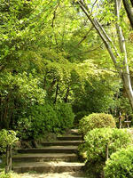 s-DSCN5390.jpg