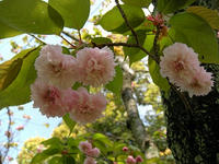 s-DSCN5397.jpg