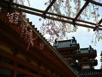 s-DSCN5402.jpg