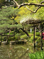 s-DSCN5429.jpg