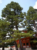 s-DSCN5436.jpg
