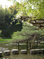 s-DSCN5454.jpg