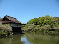 s-DSCN5460.jpg