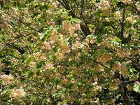 s-DSCN5471.jpg