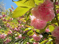 s-DSCN5476.jpg