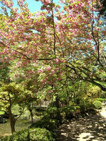 s-DSCN5483.jpg