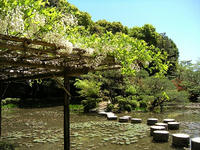 s-DSCN5491.jpg
