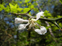 s-DSCN5517.jpg