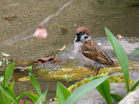 s-DSCN5603.jpg