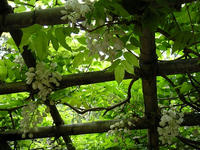 s-DSCN5610.jpg