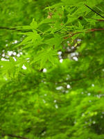 s-DSCN5615.jpg