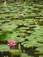 s-DSCN5643.jpg