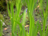 s-DSCN5645.jpg
