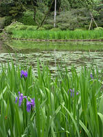 s-DSCN5649.jpg