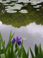 s-DSCN5650.jpg