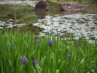 s-DSCN5656.jpg