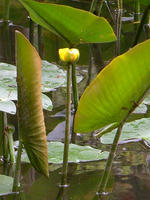 s-DSCN5658.jpg