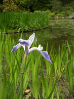 s-DSCN5681.jpg