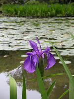 s-DSCN5687.jpg