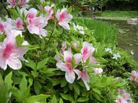 s-DSCN5706.jpg