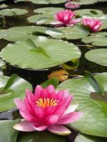 s-DSCN5708.jpg
