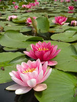 s-DSCN5709.jpg