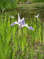 s-DSCN5710.jpg
