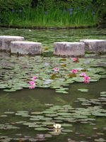 s-DSCN5743.jpg