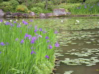 s-DSCN5744.jpg