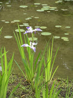 s-DSCN5798.jpg