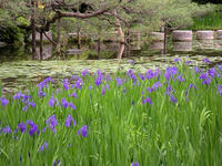 s-DSCN5806.jpg