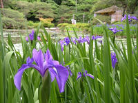 s-DSCN5808.jpg