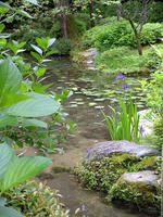 s-DSCN5825.jpg
