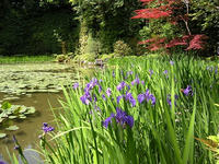 s-DSCN5834.jpg