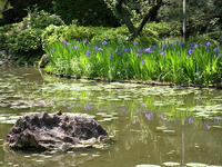 s-DSCN5839.jpg