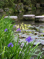 s-DSCN5841.jpg