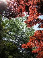 s-DSCN5844.jpg