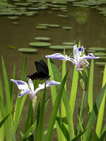 s-DSCN5848.jpg