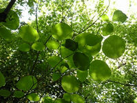 s-DSCN5862.jpg