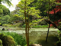 s-DSCN5863.jpg