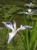 s-DSCN5870.jpg