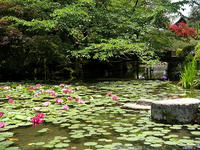 s-DSCN5871.jpg