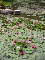 s-DSCN5885.jpg