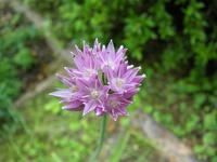 s-DSCN5892.jpg